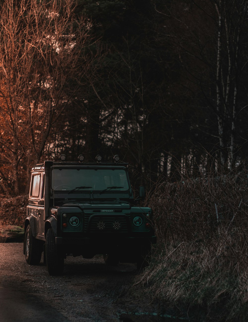 black jeep wrangler on forest during daytime