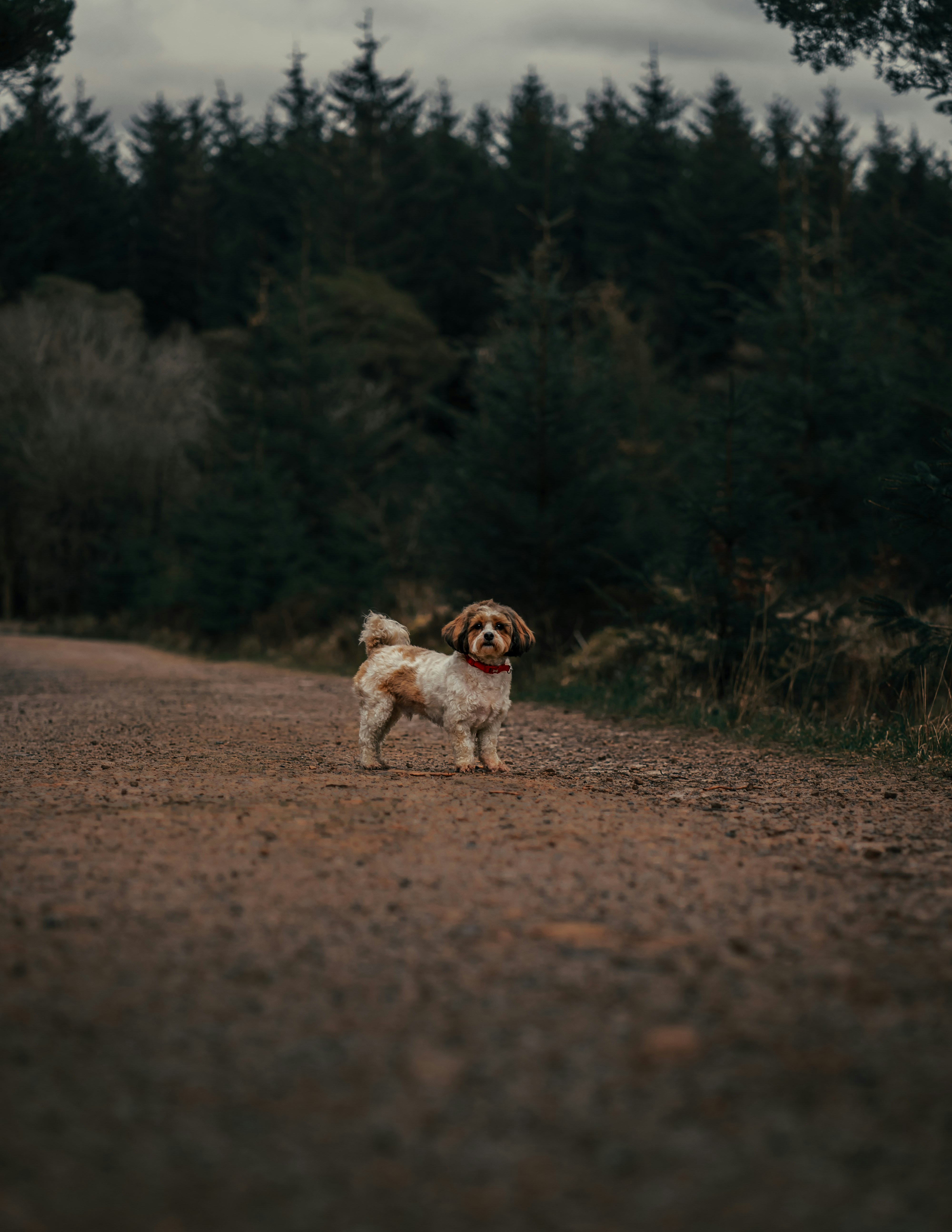 Photo by samuelgirven