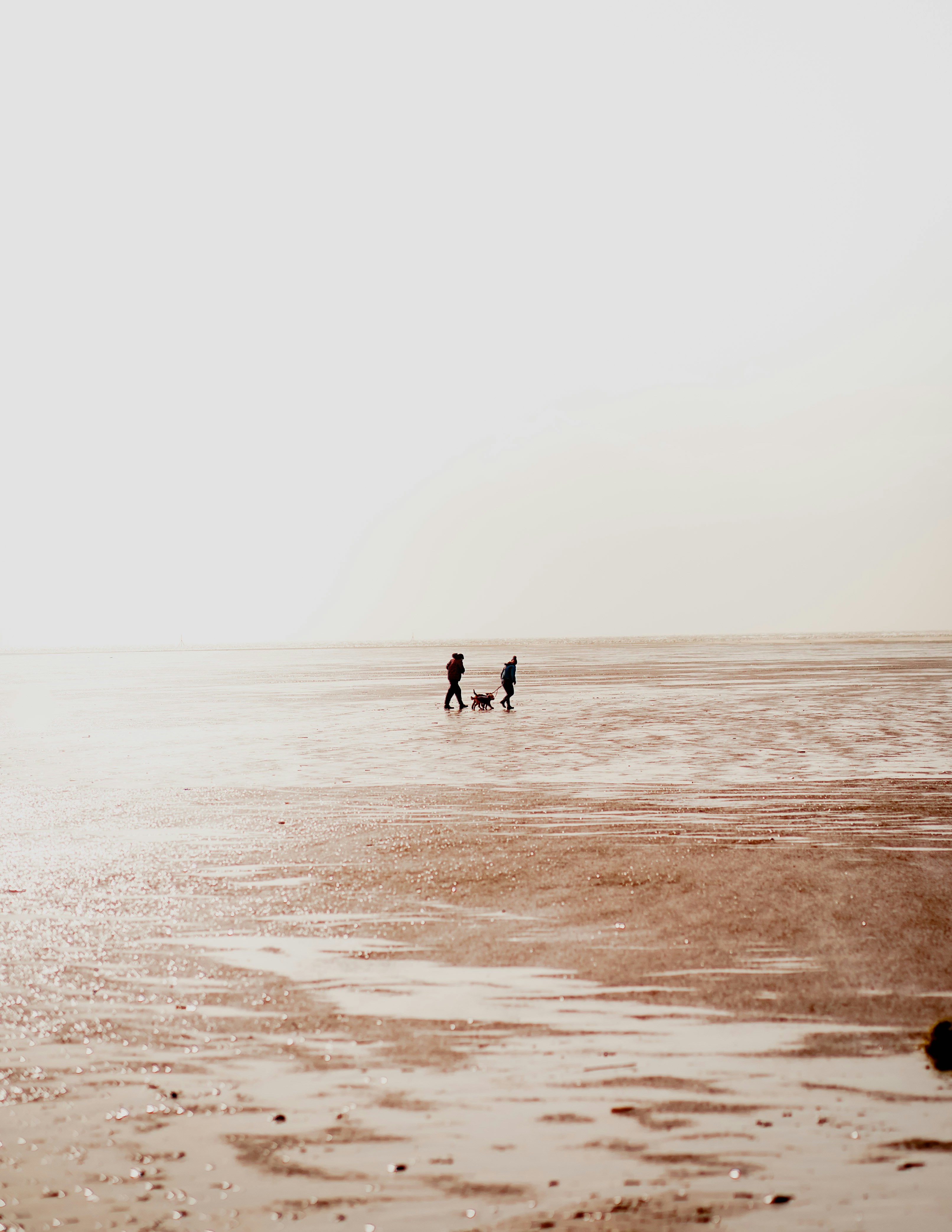 Photo by samuelgirven