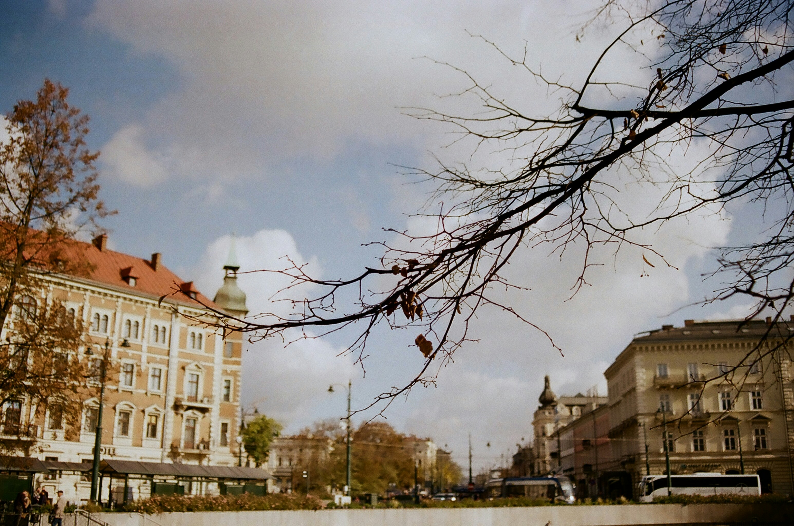 bare tree near brown concrete building during daytime
