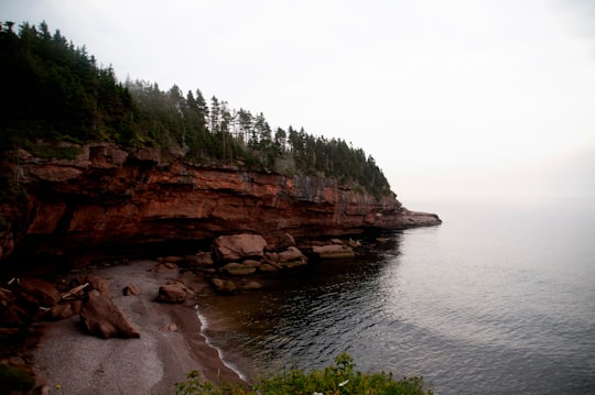 brown rocky mountain beside body of water during daytime in Île-Bonaventure-et-du-Rocher-Percé National Park Canada