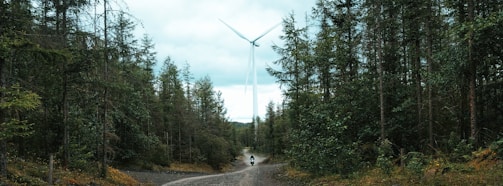 A tall wind turbine is visible in the background, towering over a densely forested area. A narrow dirt path leads through the forest, with a person on a bicycle traveling along it. The trees are lush and green, and the sky is overcast, casting a muted light over the scene.