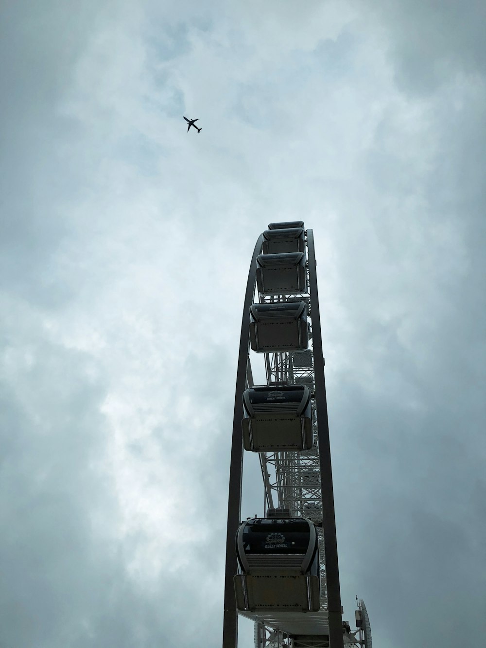 low angle photography of flying bird under blue sky during daytime