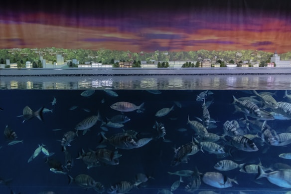 A large aquarium tank with numerous fish swimming in clear water, above which is a model cityscape featuring buildings, trees, and greenery against a dramatic, colorful sky.