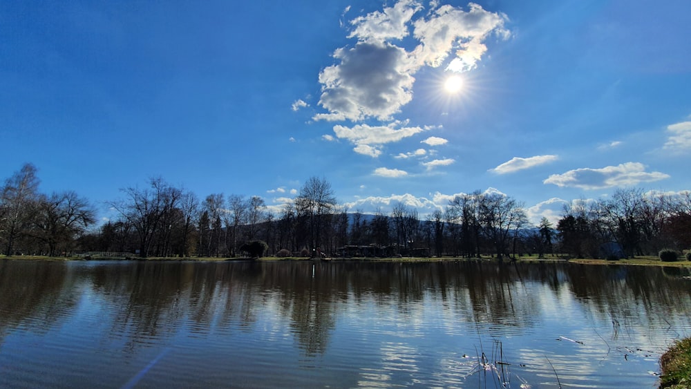 green trees beside lake under blue sky during daytime