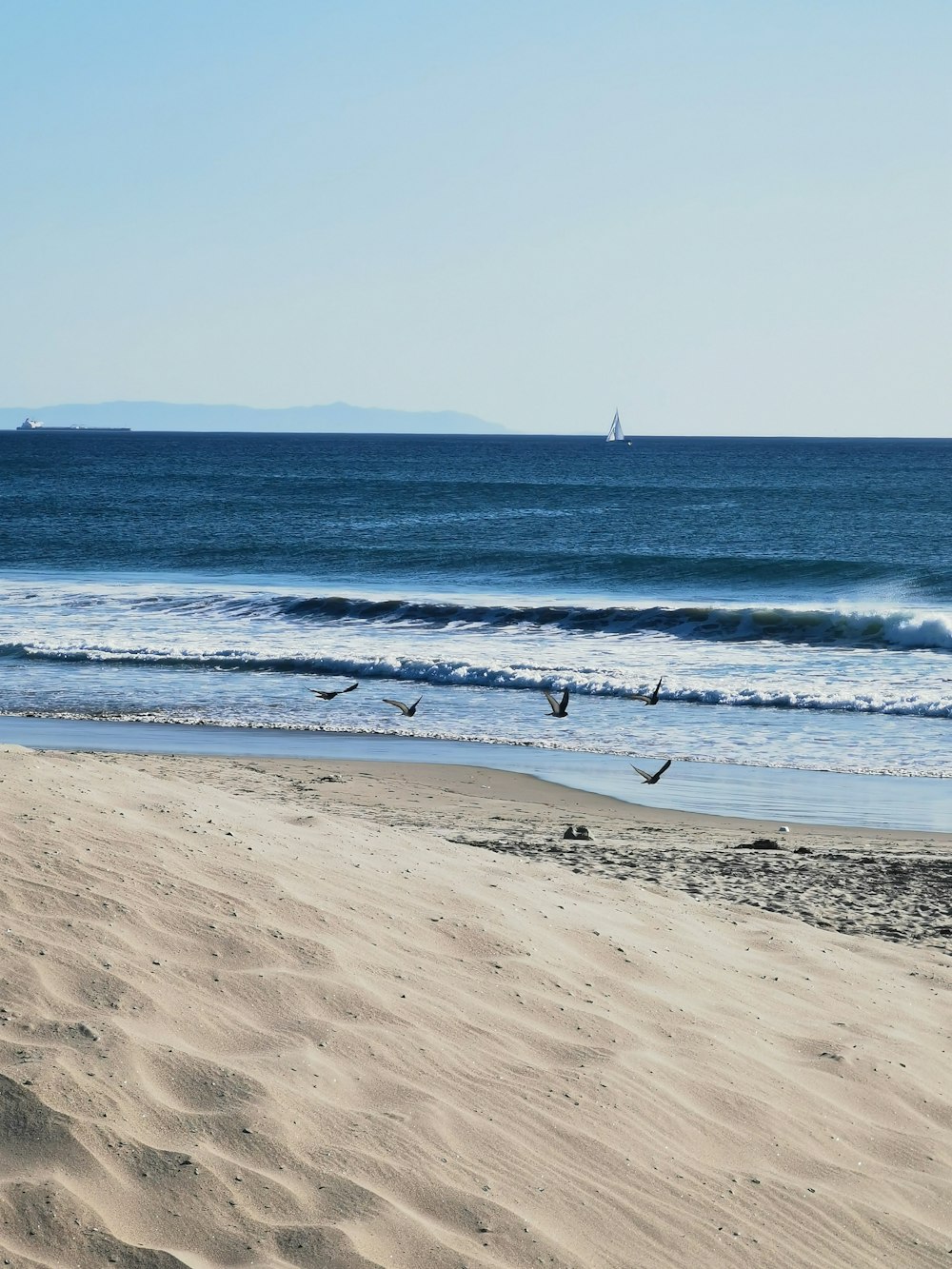 people on beach during daytime