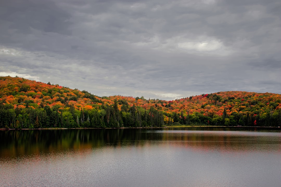 Reservoir photo spot Algonquin Park Sundridge