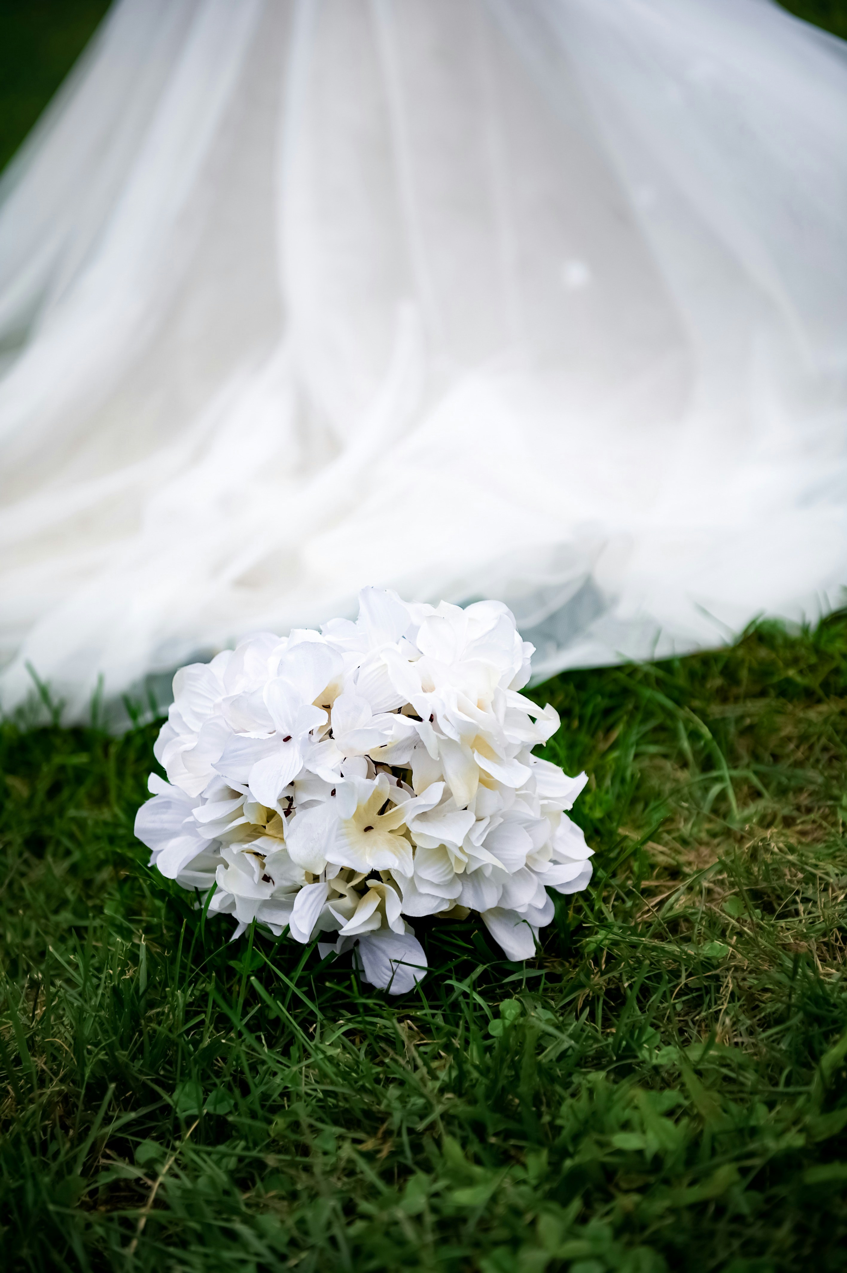 Photo by vasylyna_7010