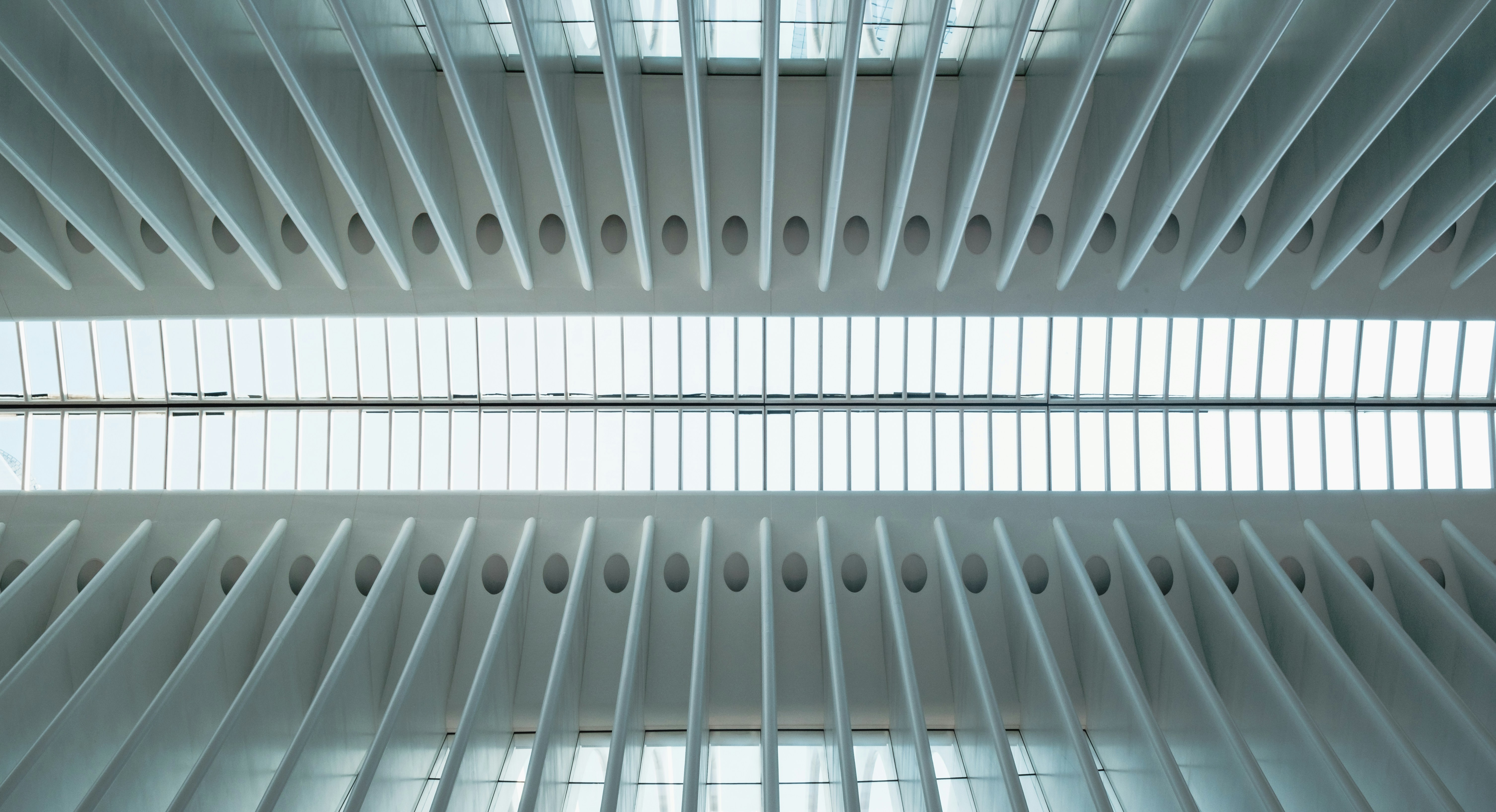 Photo by themichaelevins