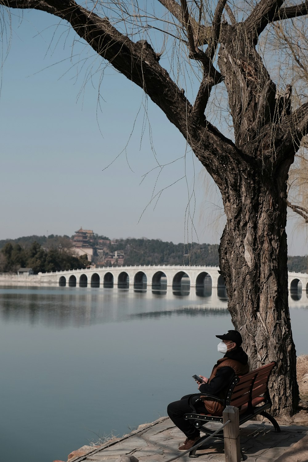 a man sitting on a bench next to a tree