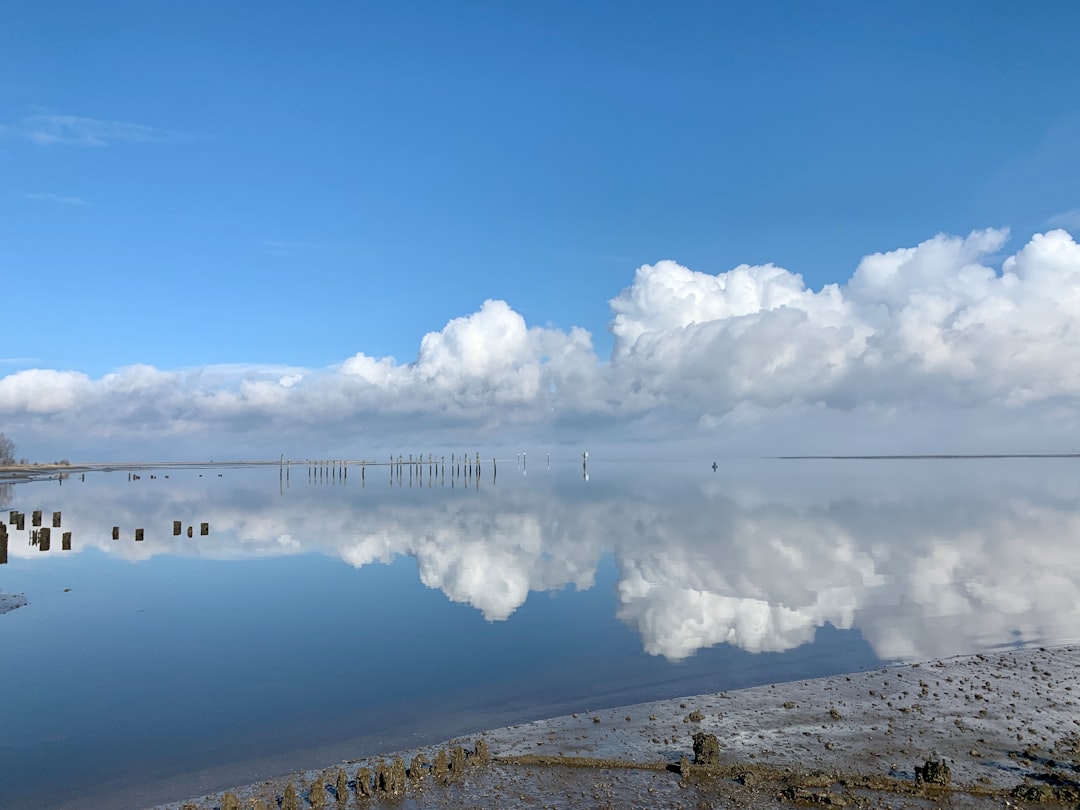 Panorama photo spot Blackie Spit Park Canada