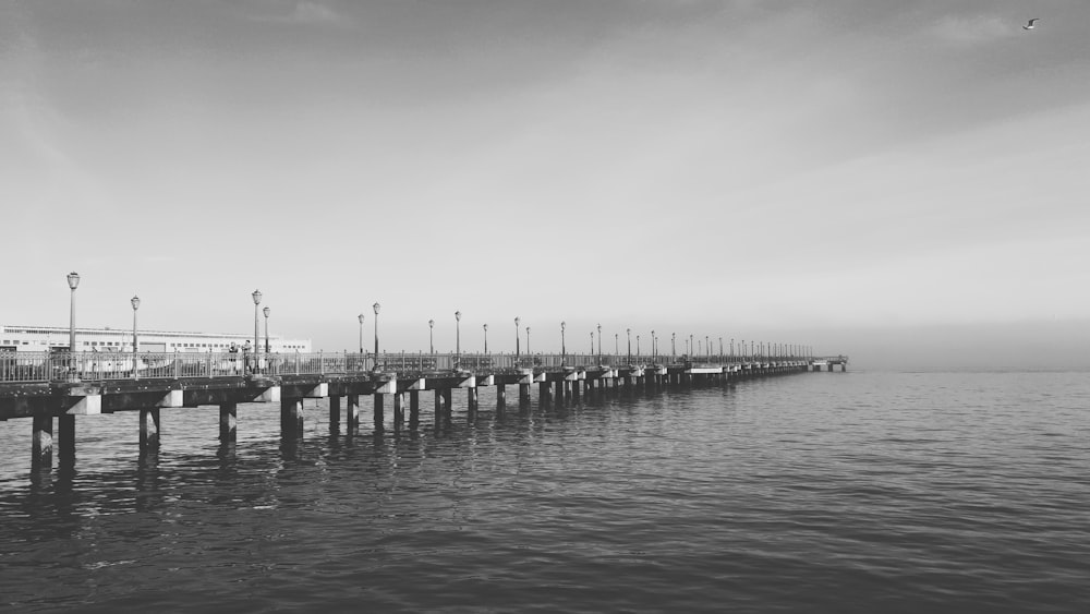 grayscale photo of wooden dock on sea