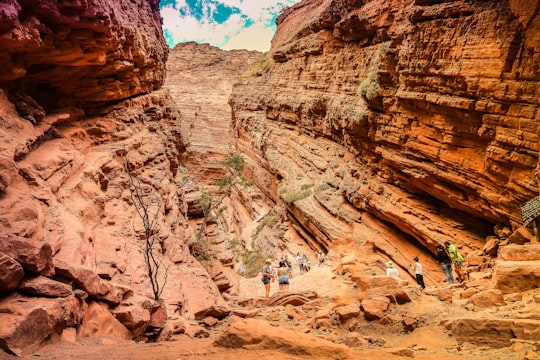 people walking on rocky mountain during daytime in Salta Argentina