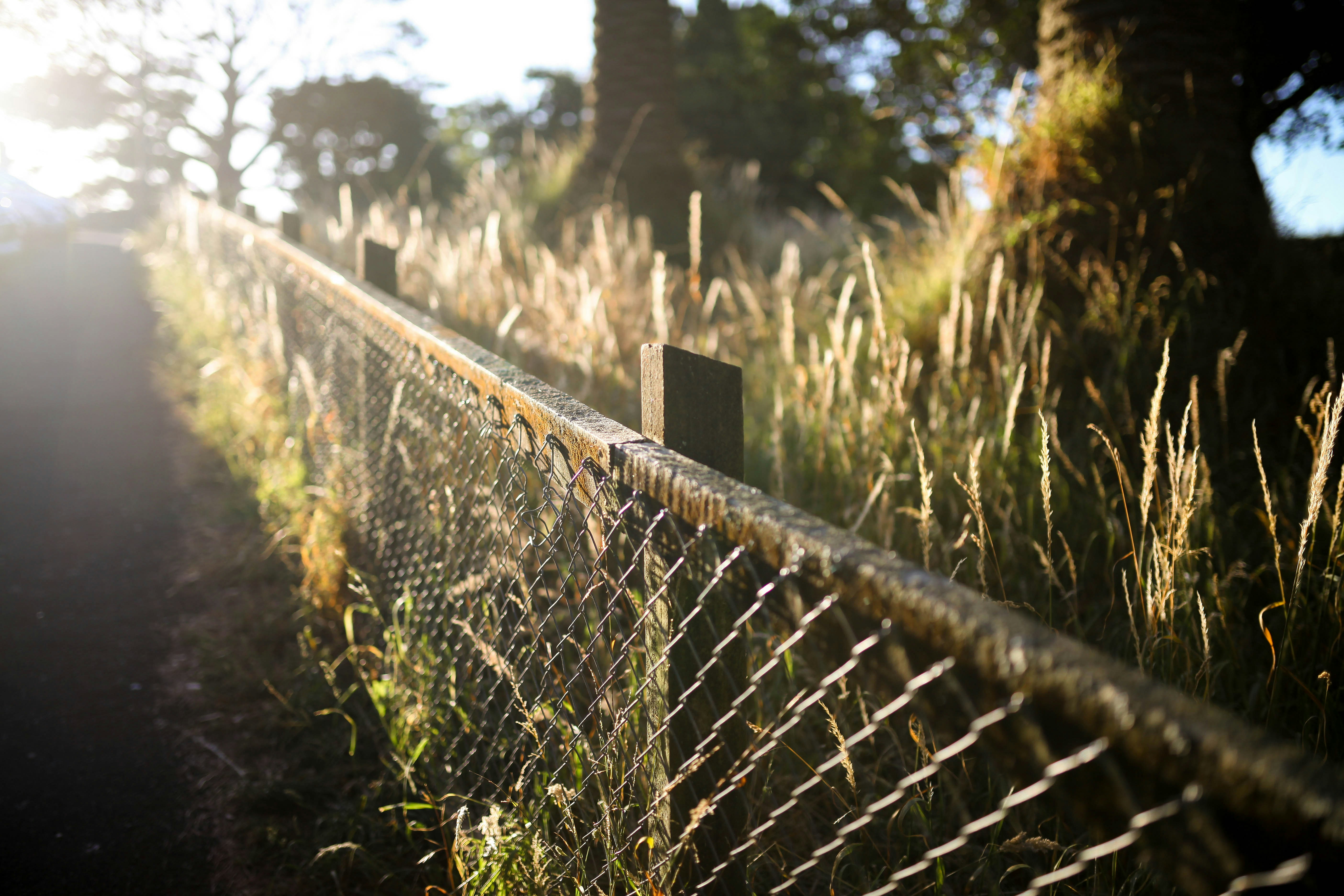 grey metal fence near green grass during daytime