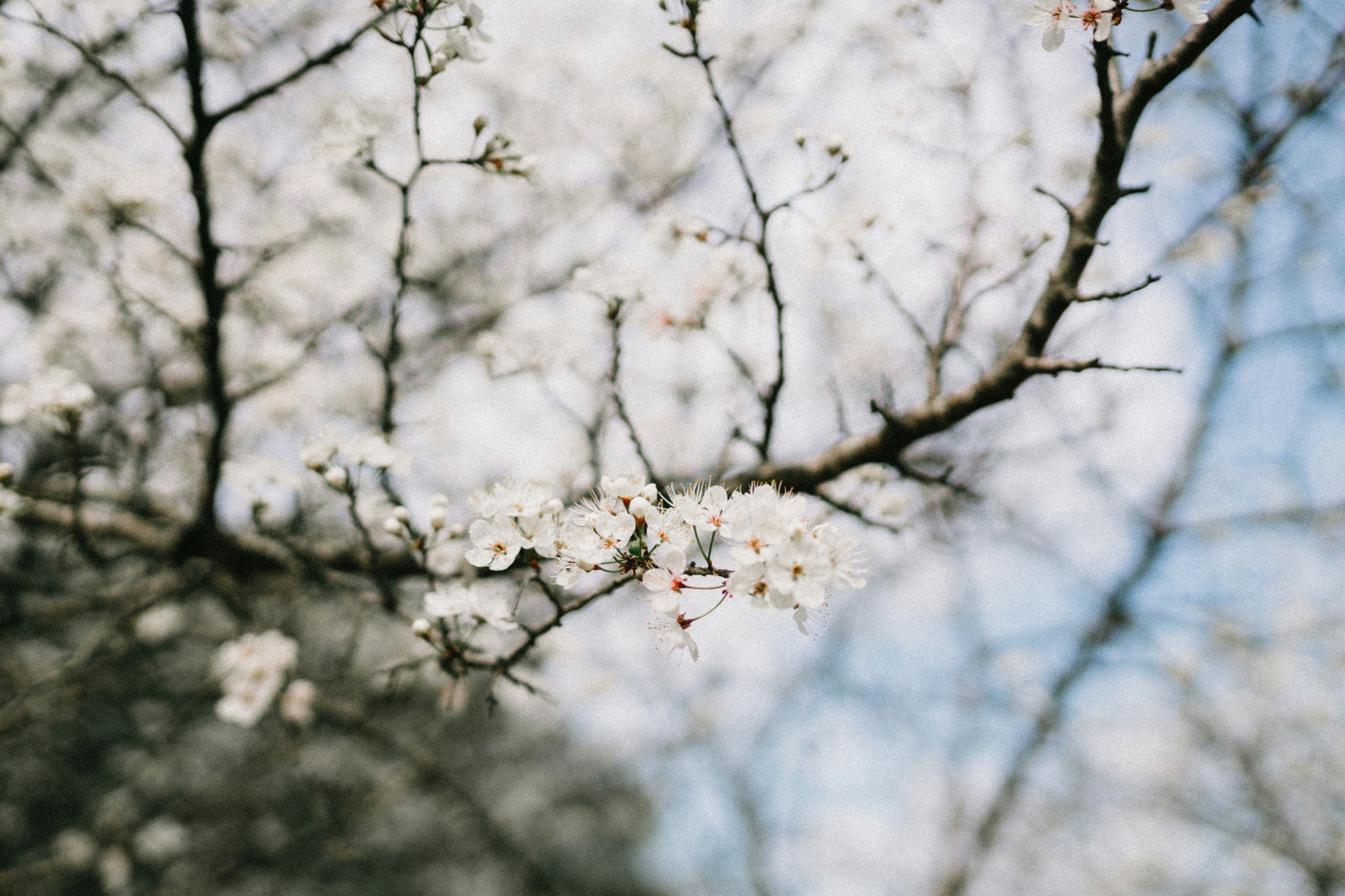 Photo by coreymoconnell1