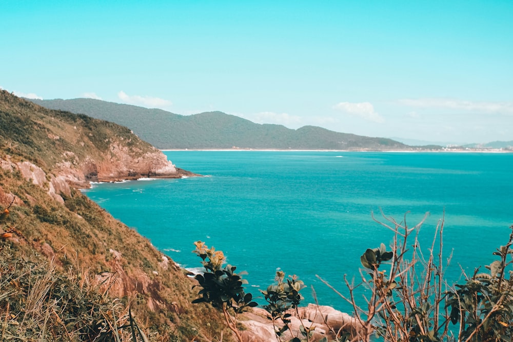 Montaña verde y marrón junto al mar azul bajo el cielo azul durante el día