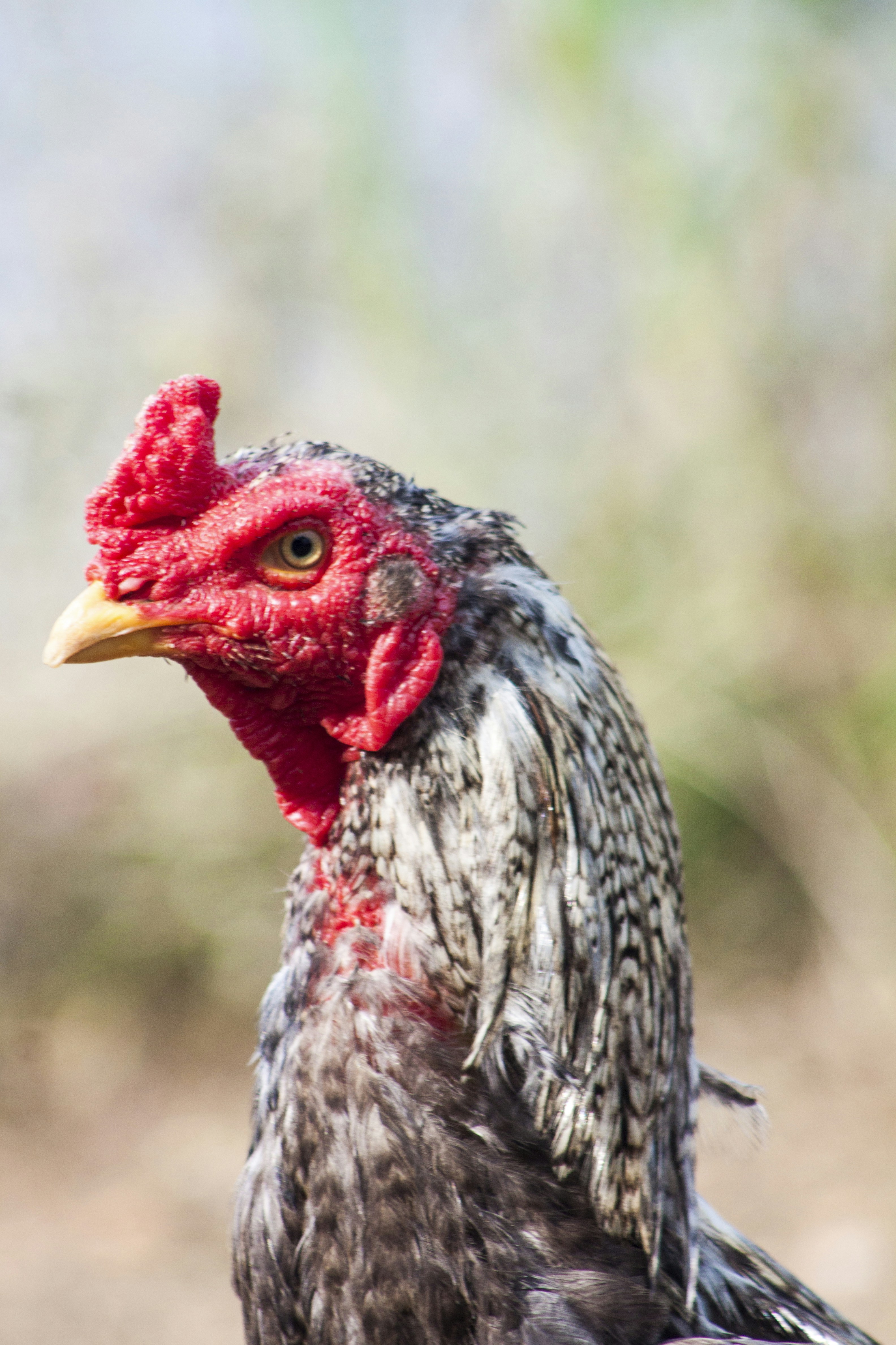 Photo by leandrogep24