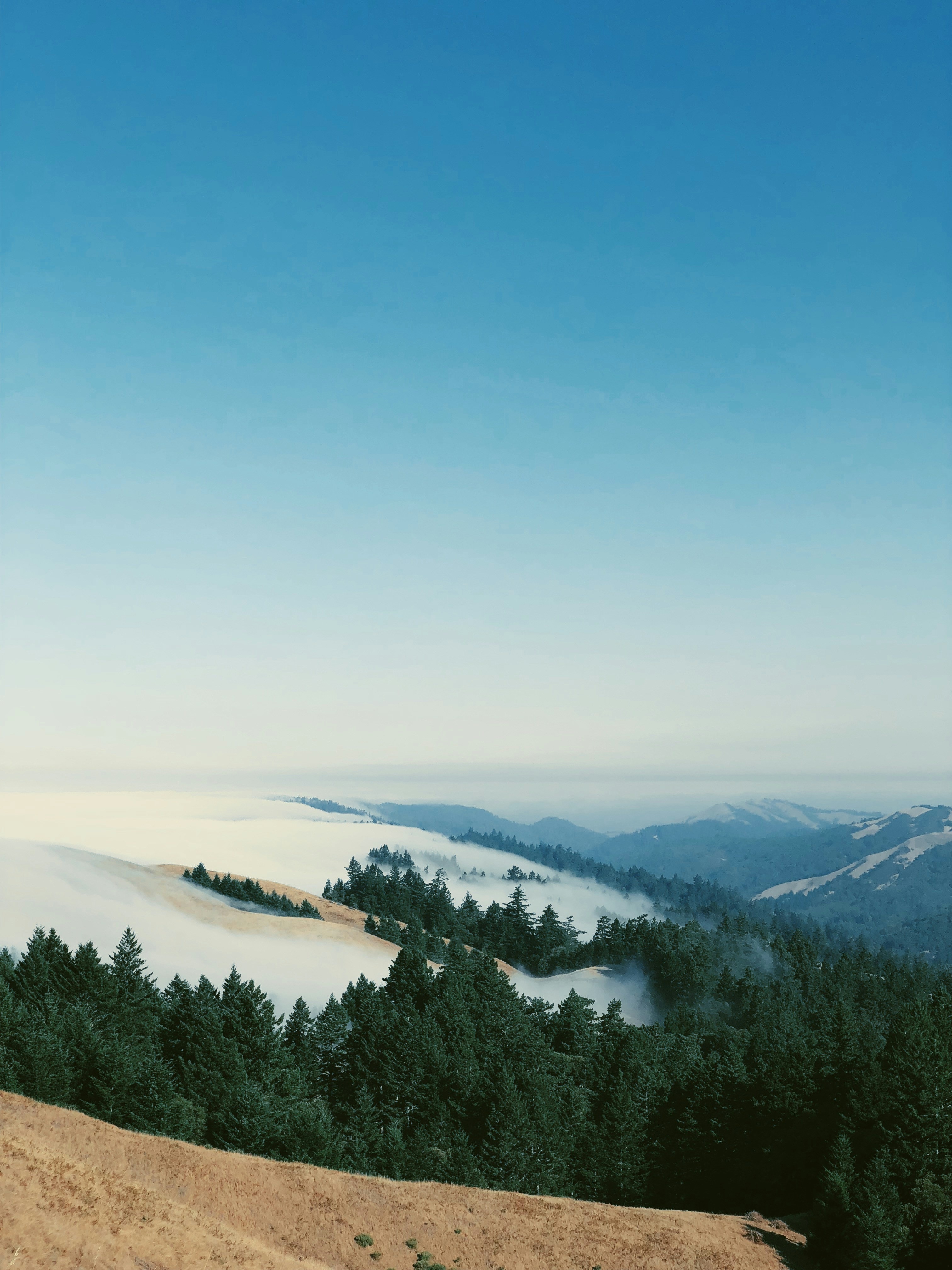 Green trees on mountain under blue sky during daytime photo – Free Blue ...