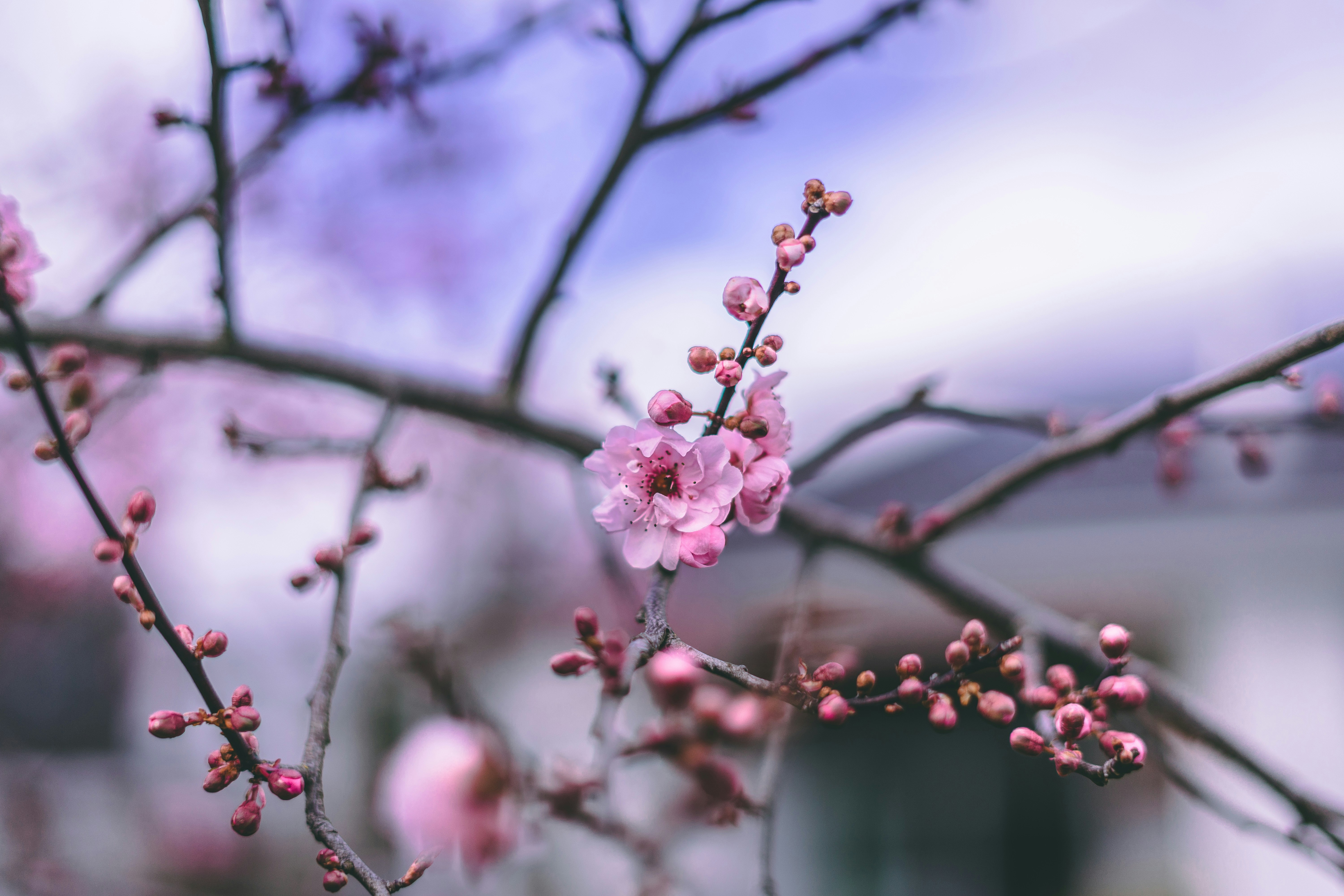 Photo by virussinside