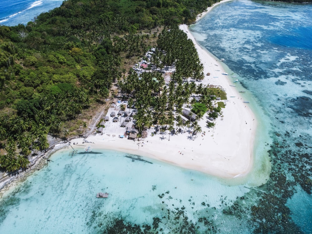 aerial view of green and brown island during daytime