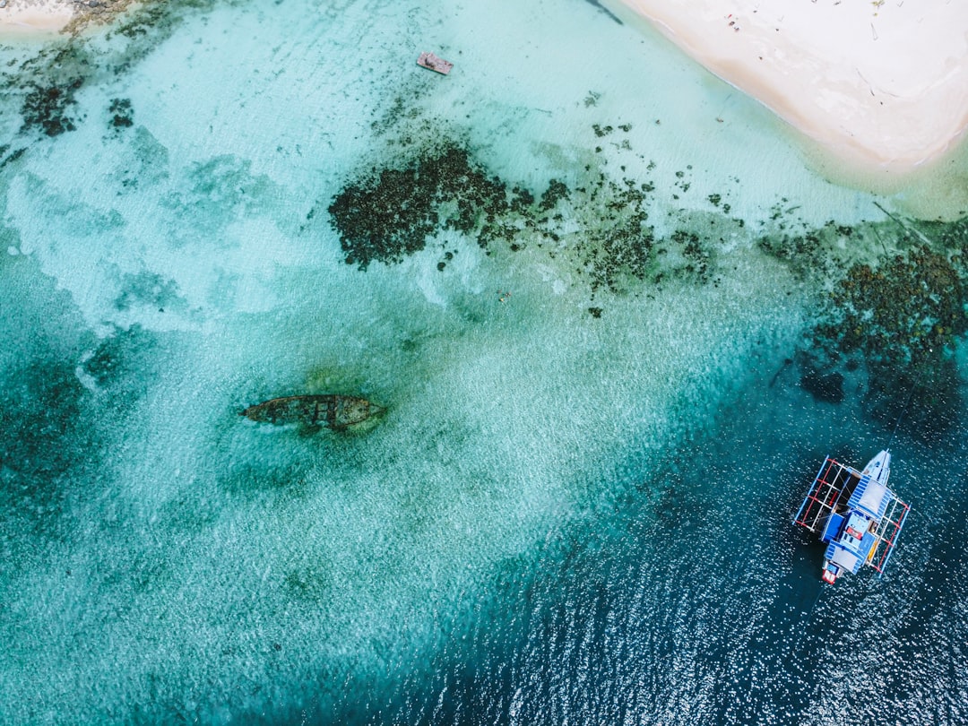 aerial view of beach during daytime