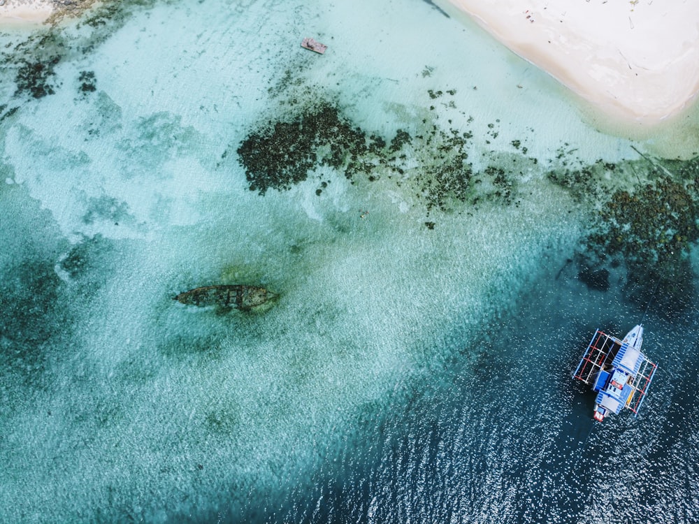 aerial view of beach during daytime