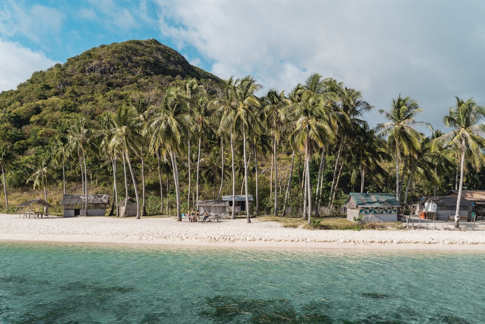 people on beach during daytime