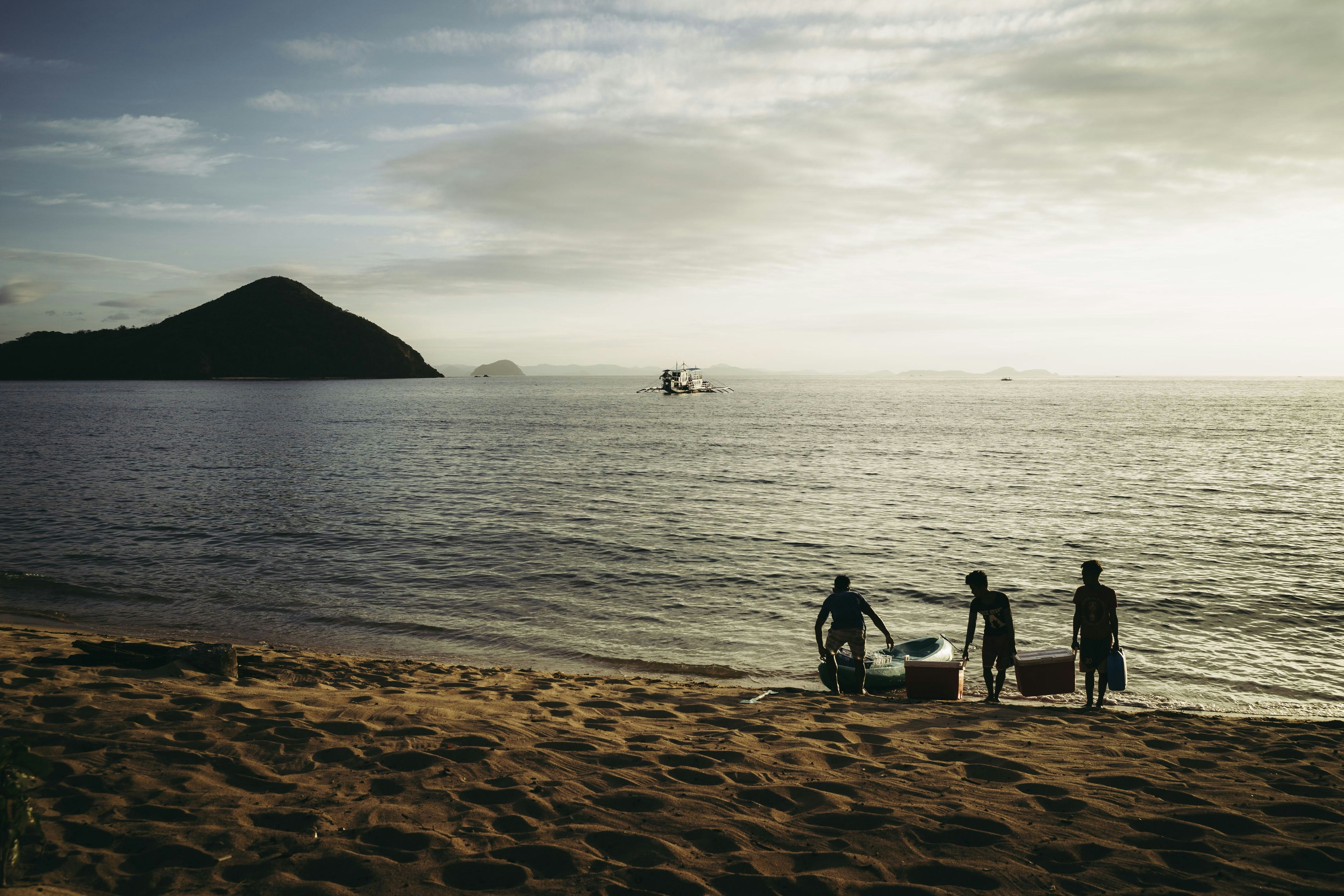 people on beach during daytime