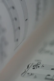 white and blue printer paper