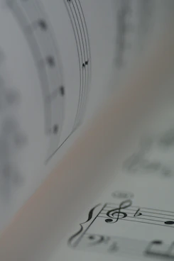 white and blue printer paper