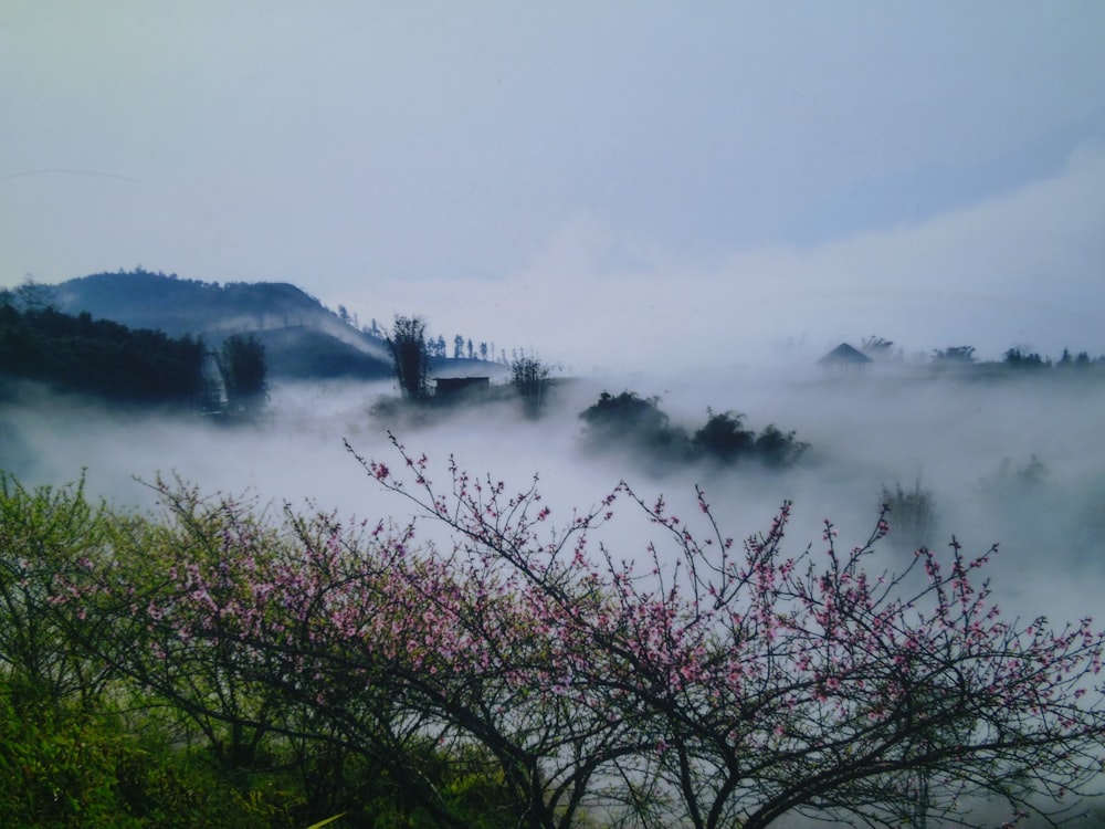 green trees near body of water during daytime