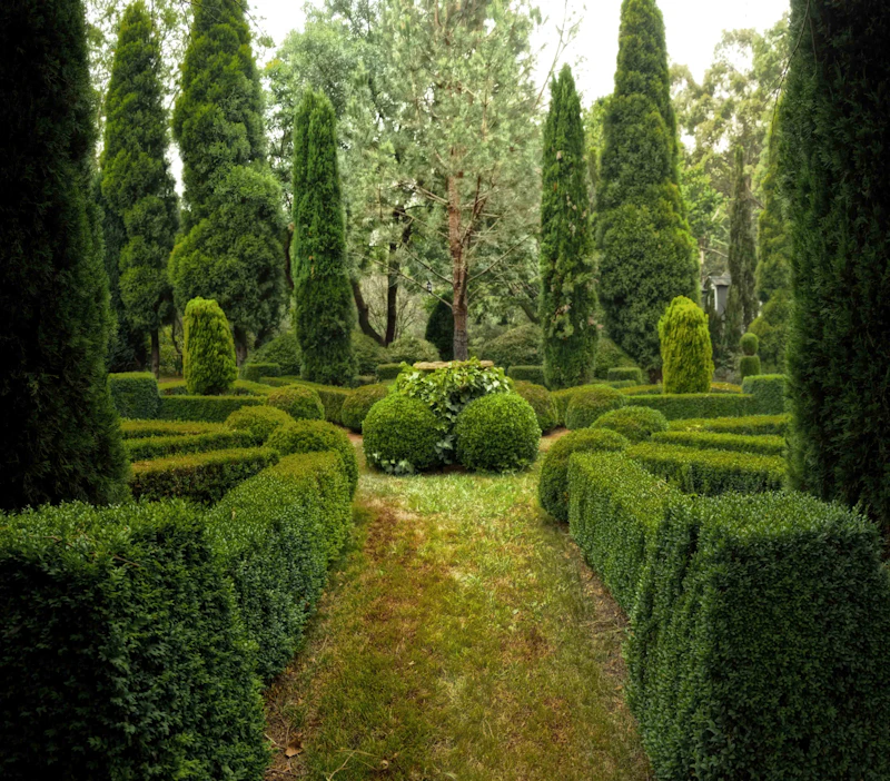 servicio de jardinería y paisajismo — foto 2 de referencia del rubro que atiende Marketboost