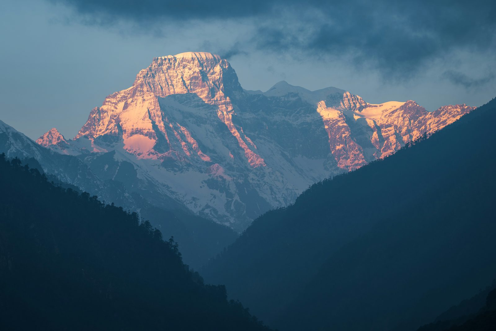 Jigme Dorji National Park