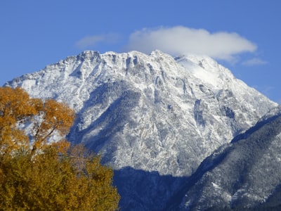 green trees near mountain during daytime yellowstone google meet background