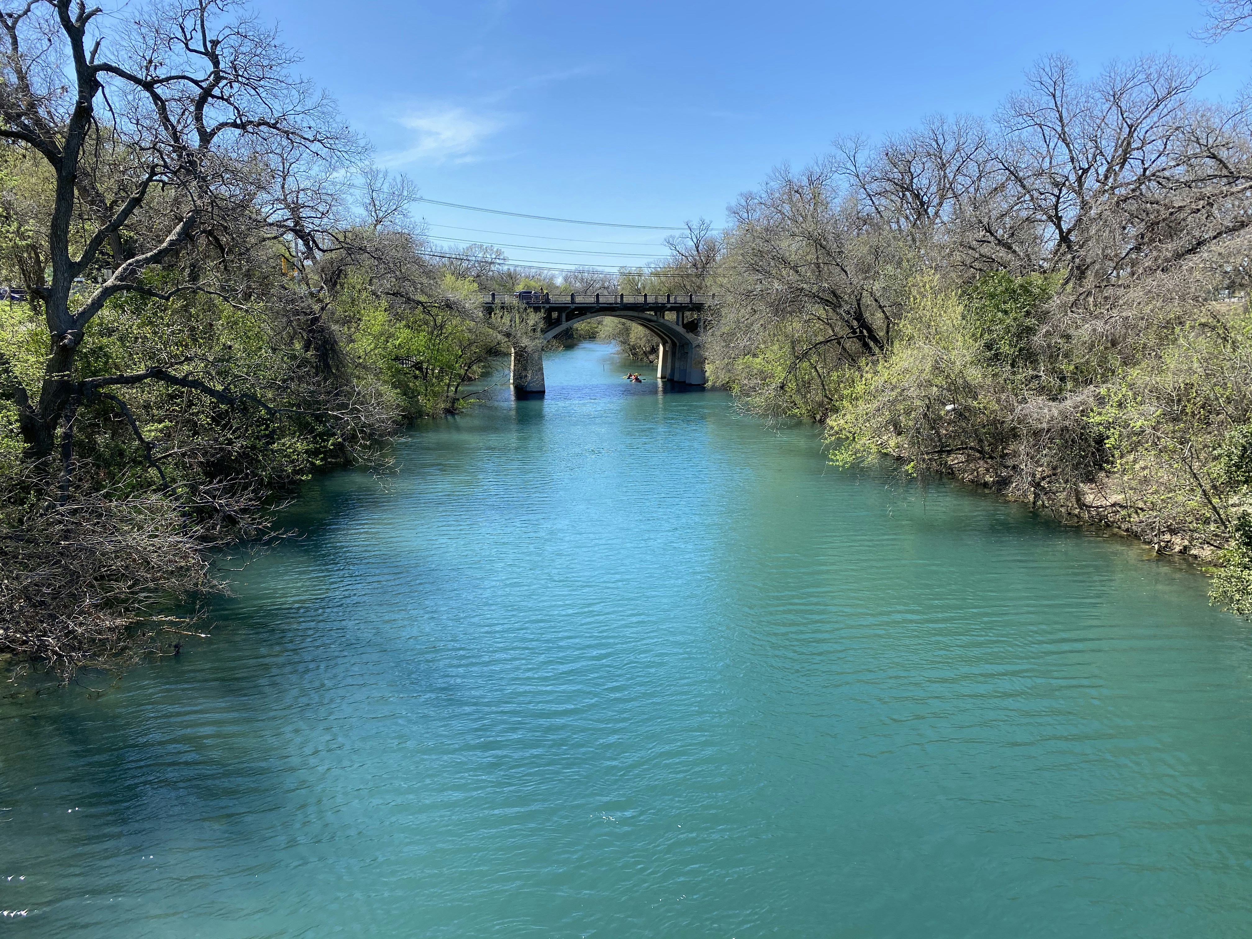 green river between green trees under blue sky during daytime