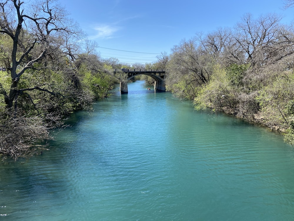 green river between green trees under blue sky during daytime