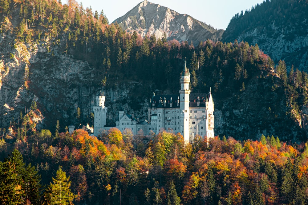 white and black castle surrounded by trees and mountains
