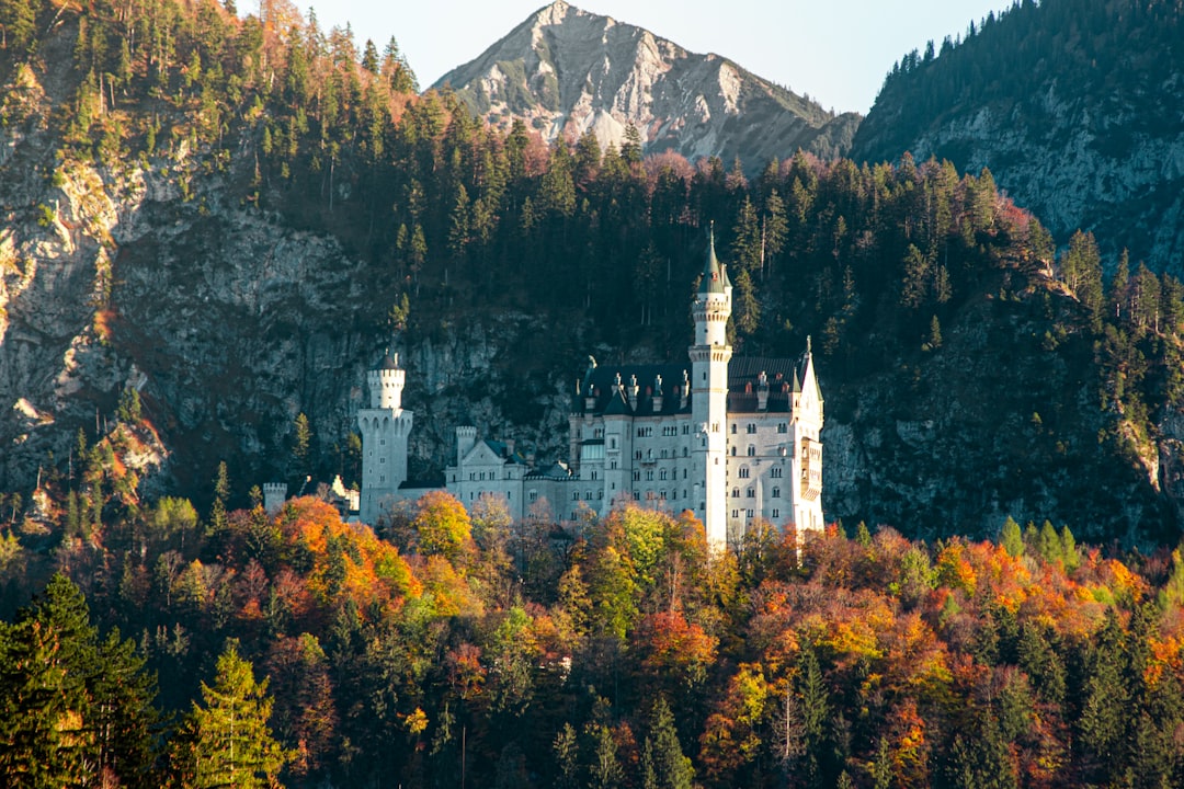 Tropical and subtropical coniferous forests photo spot Neuschwanstein Castles Schwangau
