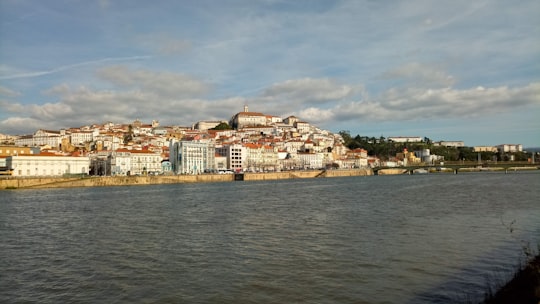 city buildings near body of water during daytime in Coimbra Portugal