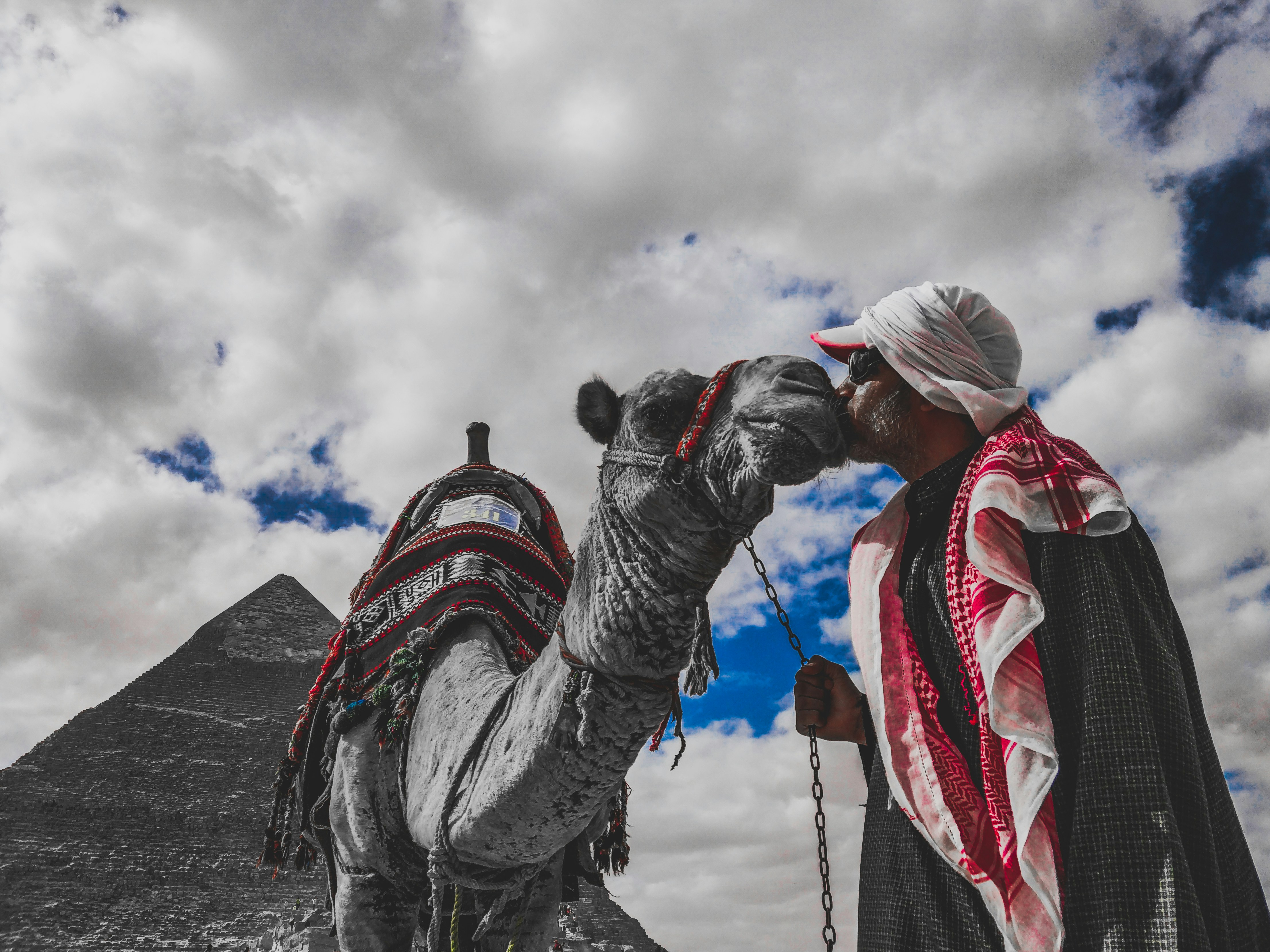 Photo by mohanad98