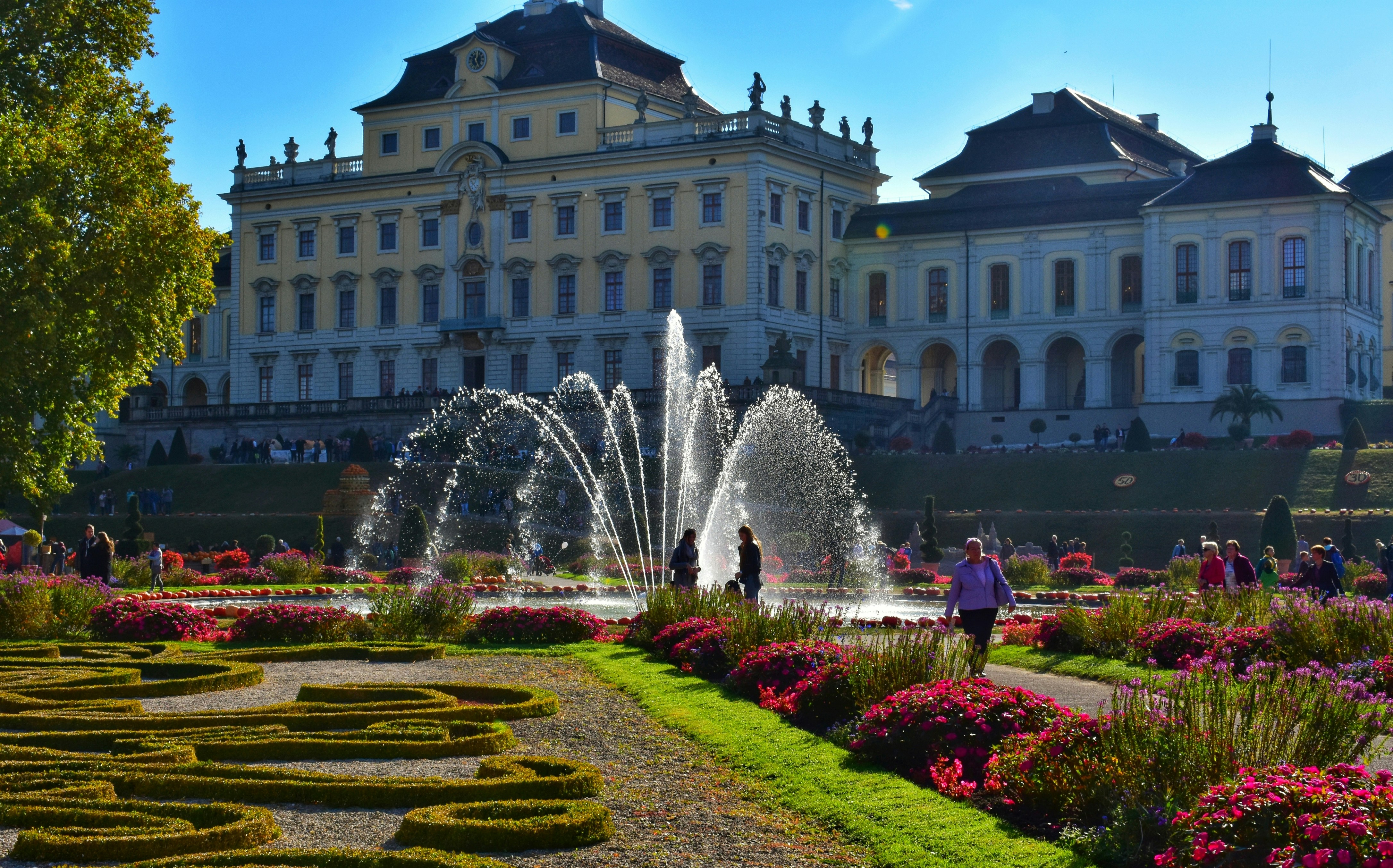 Image by Cosmin Lucian via Unsplash