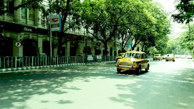 A street scene with multiple yellow vintage cars driving along a road lined with trees. The commercial buildings on the left side have signs and advertisements, and the sunlight casts shadows of the trees onto the street.