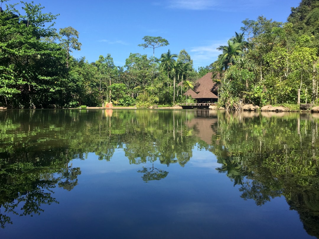 photo of Ipoh Nature reserve near Gunung Lang