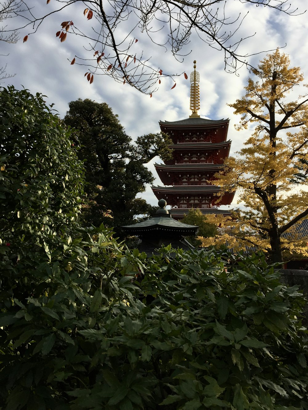 日中の茶色と白の寺院の近くの緑の木々