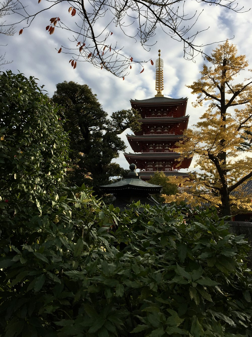 green trees near brown and white temple during daytime