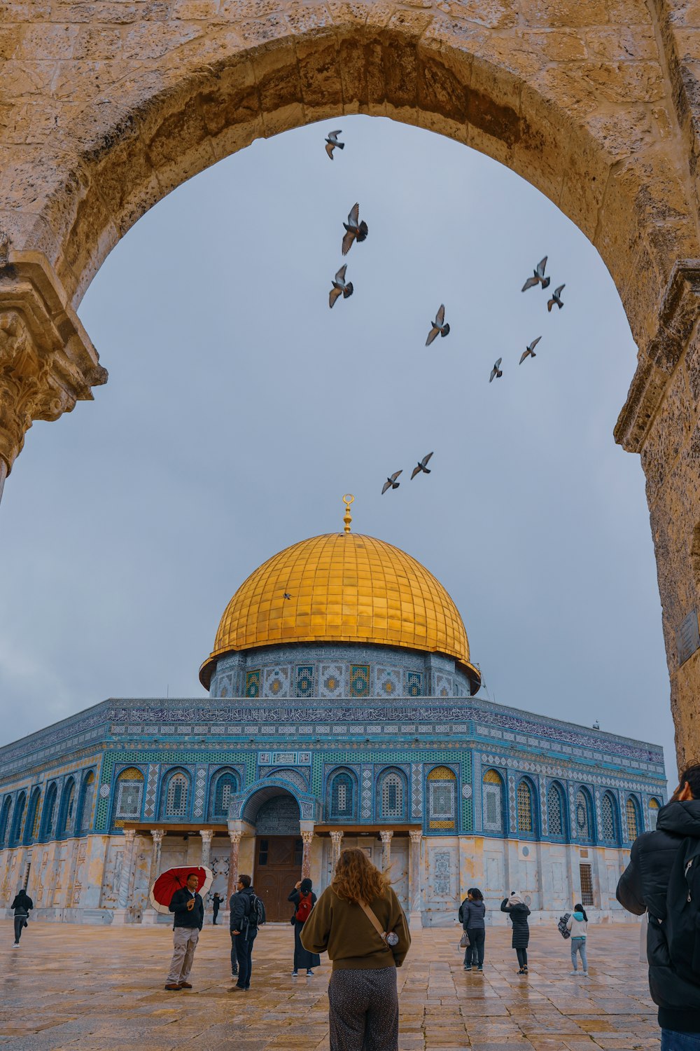 flock of birds flying over green and gold dome building during daytime