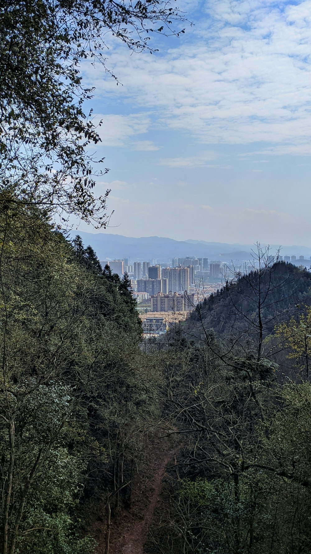 green trees near white building during daytime