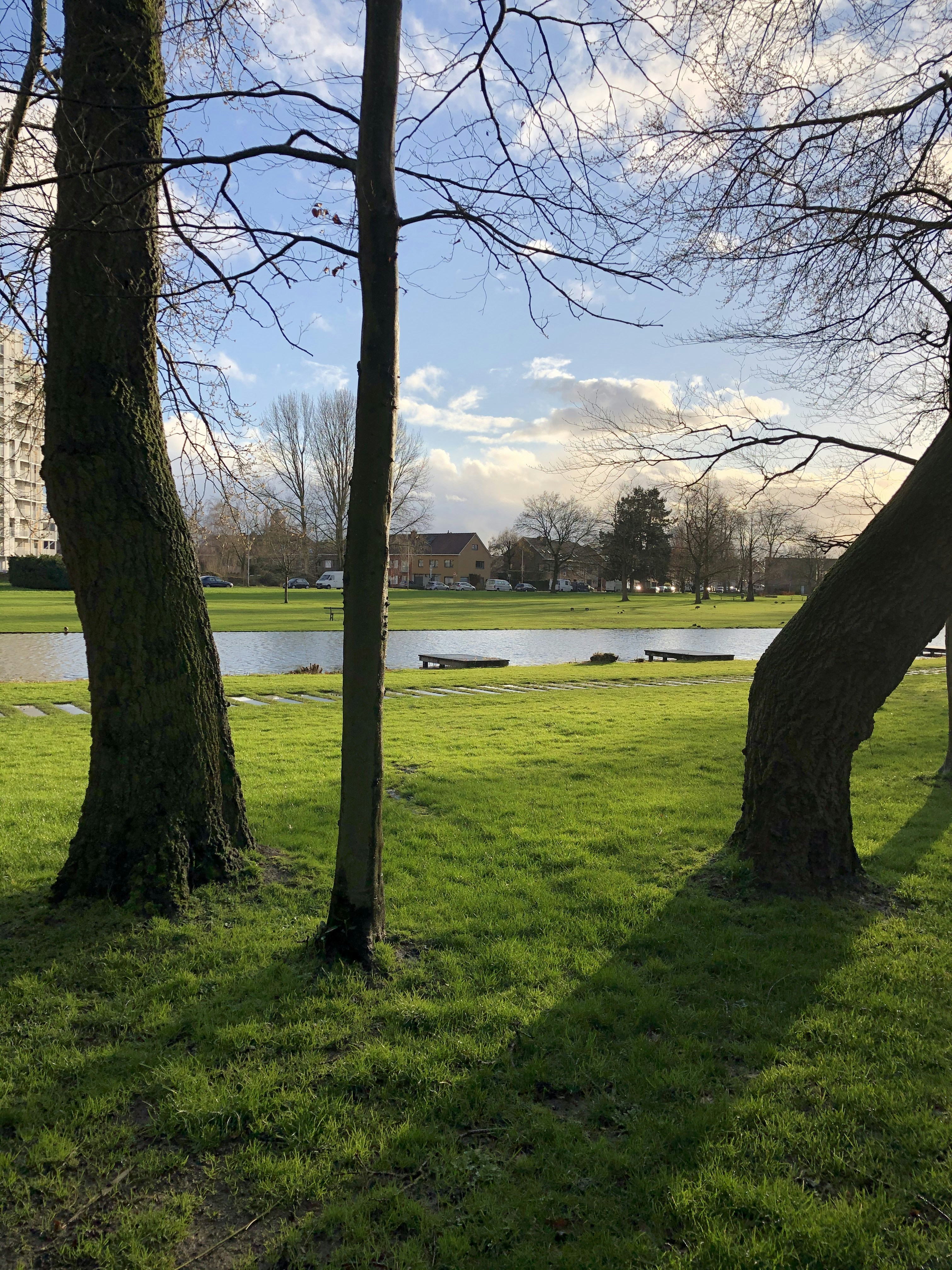 Champ d’herbe verte avec des arbres et des montagnes au loin