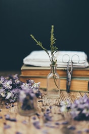 purple flowers in clear glass vase