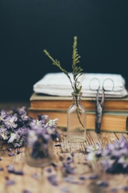 purple flowers in clear glass vase